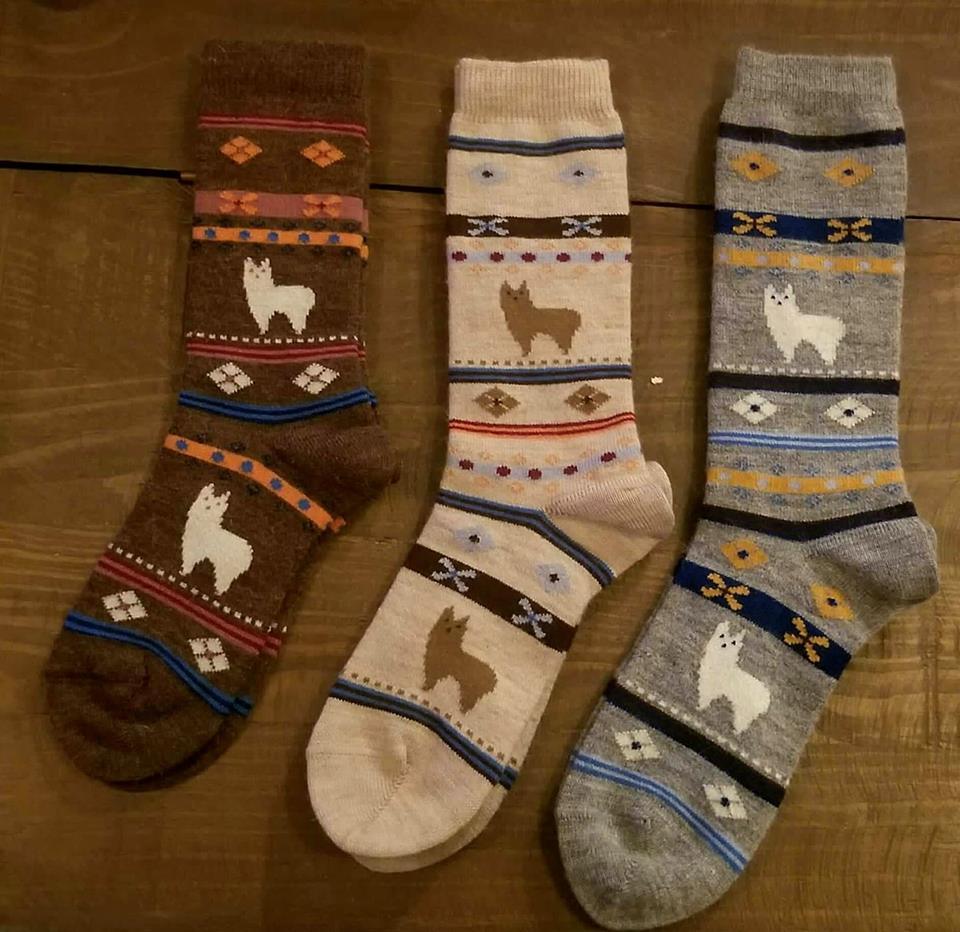 Alpaca Watching Socks-My Store (Collab)